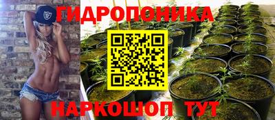 гашишное масло Будённовск